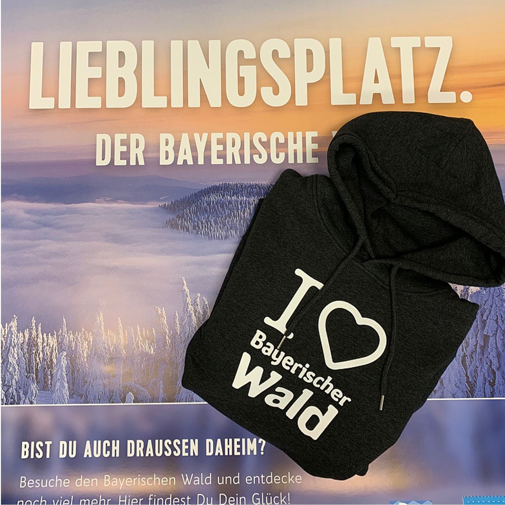 Bayerischer Wald 